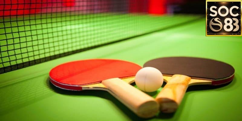 Vì Sao Nên Chọn Cá Cược Bóng Bàn Online Tại Soc88